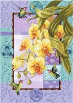 (image for) Orchids and Hummingbirds